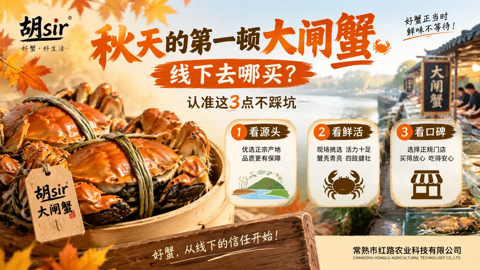 秋天的第一顿大闸蟹线下去哪买？认准这3点不踩坑